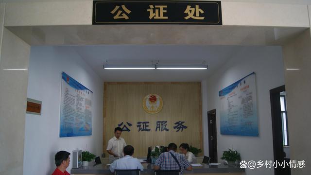 如何选择公证处，全面解读及实用建议指南