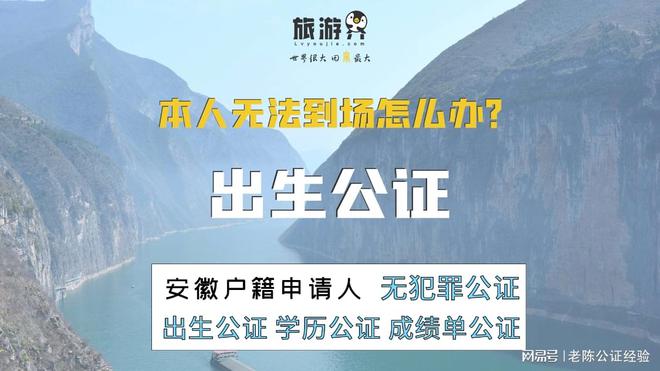 公证处存在不公问题，揭示问题并寻求解决之道