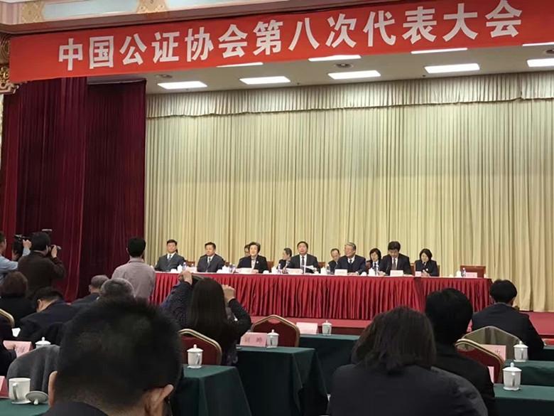 文登区公证处领导，引领公正，铸就信赖基石