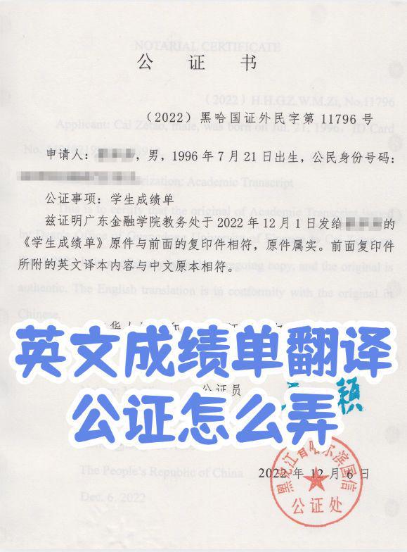 公证处办理外文文件翻译公证流程详解及指南