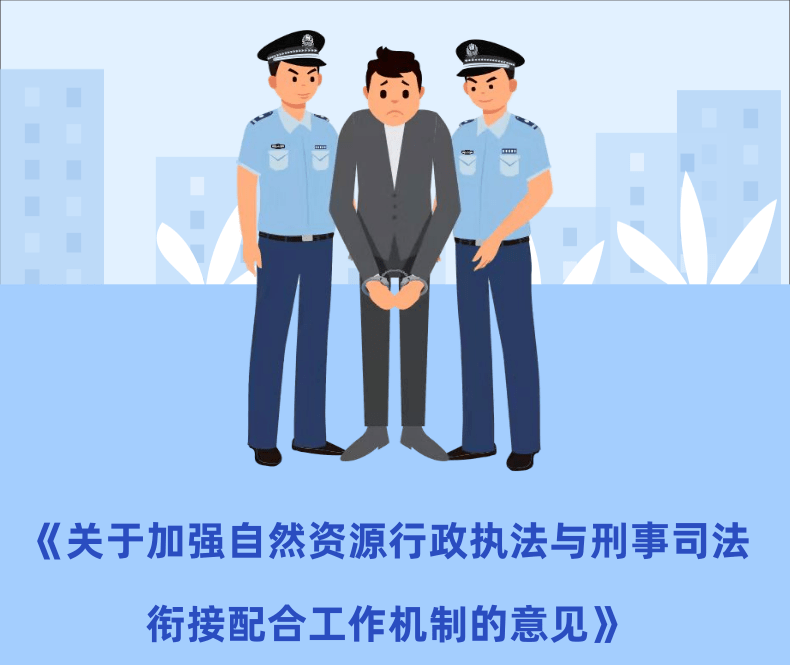 行政执法与司法公正协同协作之道