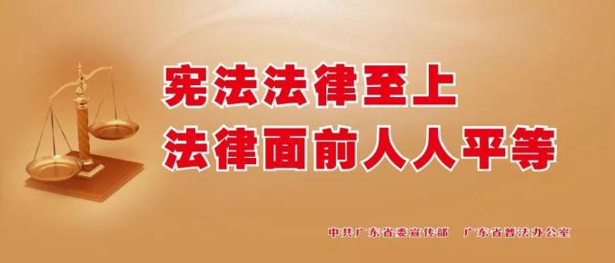 公正执法，构建法律公正与民众信任之基石