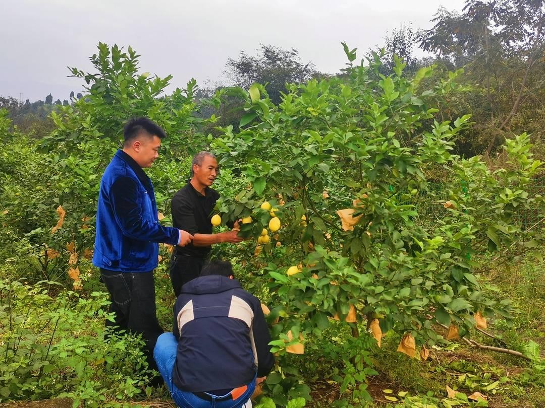 跨部门协作助力降低工作费用支出攻略