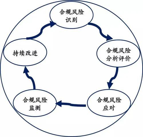 企业工作费用与财务风险评估策略，如何识别与应对风险？