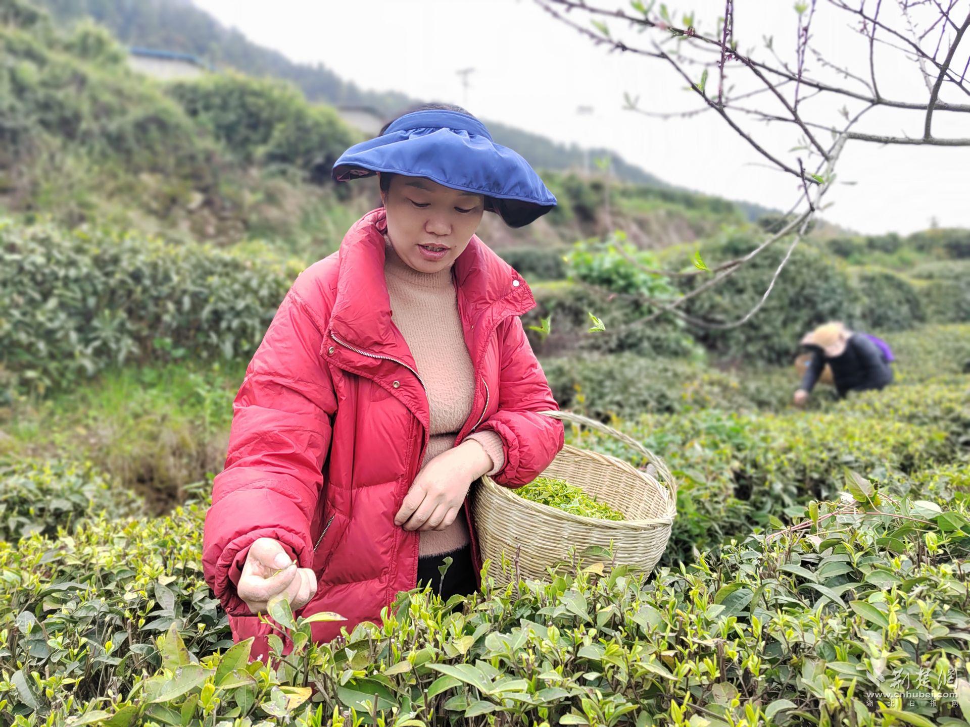 思源公证处之星，宋朝敏的公证人生之路