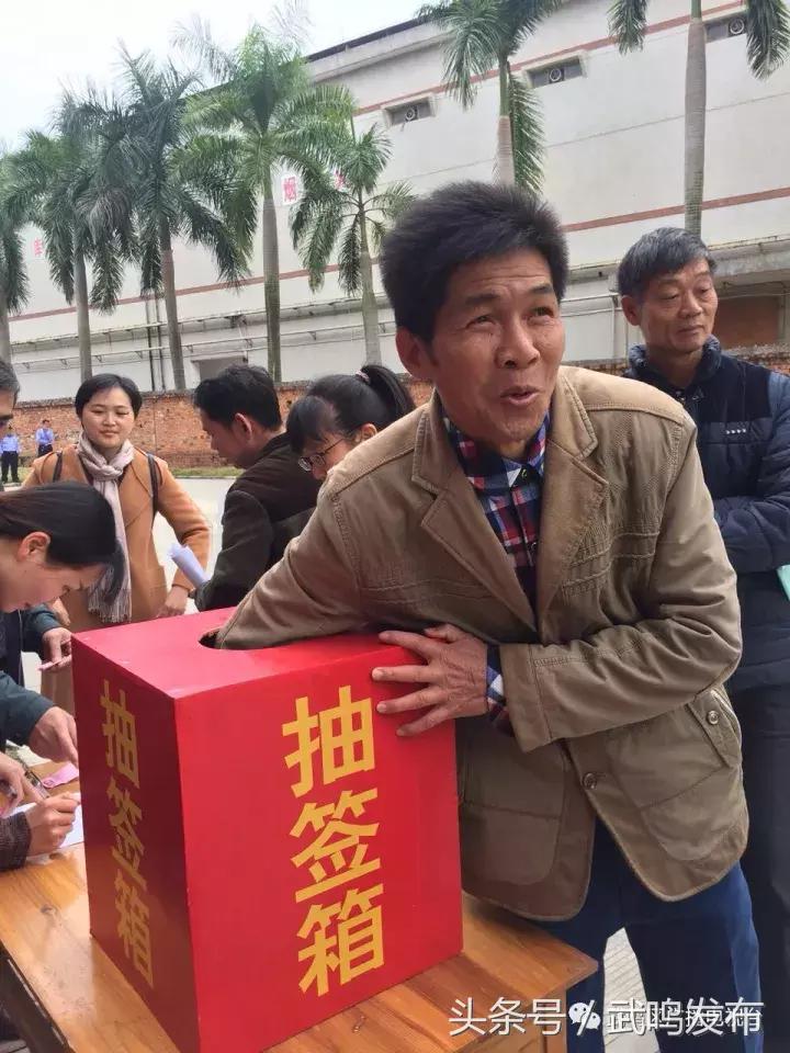 广西武鸣财产公证处，守护财产权益的坚实后盾力量