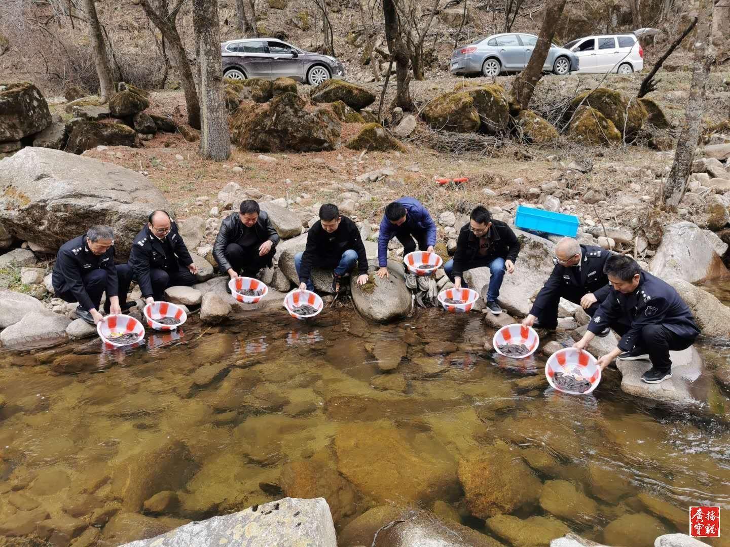 凤县公证处增殖放流活动，守护生态，共筑绿色家园之梦