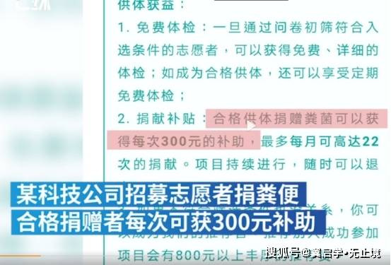 深圳公证处总监招聘启事，探寻人才共铸未来之路