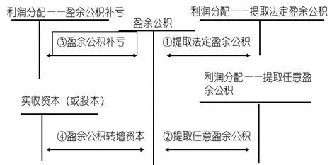 公证处利润分配机制，探究与解析