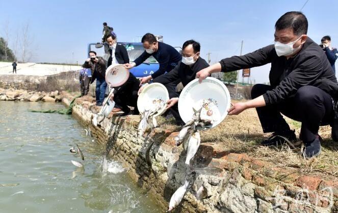 巢湖市公证处，守护公正，传递信任之锚