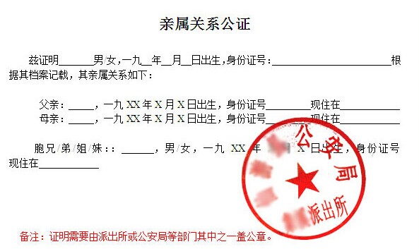 公证处亲属关系证明，流程解析及其重要性