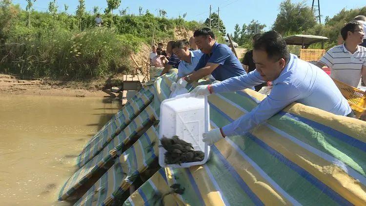 黄河公证处地址，法律服务的关键节点所在