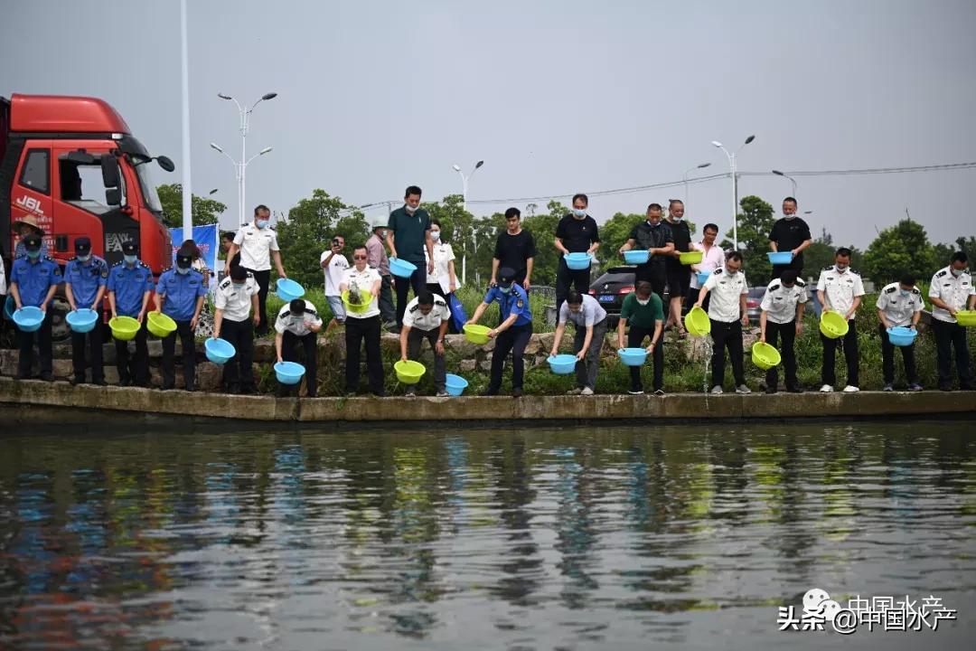 苏州公证处招聘启事，寻找专业精英，携手共创卓越服务